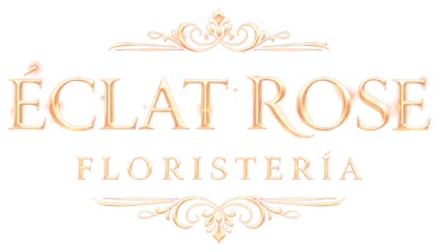 Éclat Rose Floristería